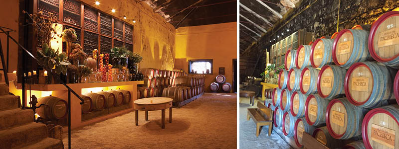 Vingården, Quinta da Pacheca i Portugal